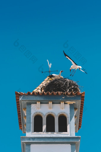 两个白色鹳<strong>嵌套</strong>贝尔塔阿尔加夫葡萄牙对蓝色的天空两个白色鹳<strong>嵌套</strong>贝尔塔阿尔加夫葡萄牙