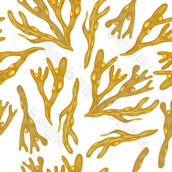 墨角藻属vesiculosus无缝的向量模式墨角藻海藻框架海植物现实的打印模板为纺织网络设计食物设计健康哪化妆品模板文本复制空间墨角藻属vesiculosus无缝的向量模式墨角藻海藻框架