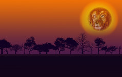色彩斑斓的非洲自然日落与狮子头太阳