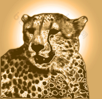 孤立的猎豹脸黄金棕色（的）梯度颜色