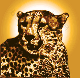 孤立的猎豹脸画黄金棕色（的）梯度颜色