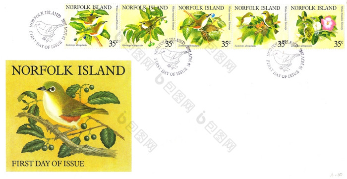 诺福克岛约邮票系列印刷诺福克岛第一个一天问题信封显示白胸银鸟约