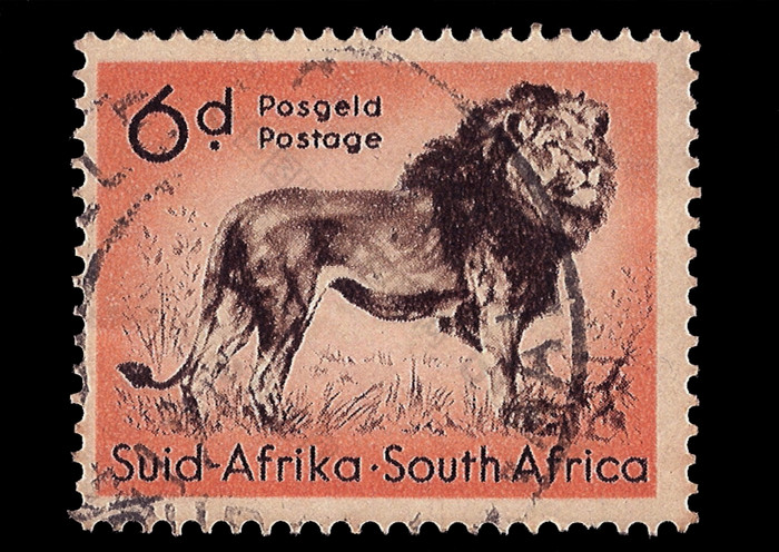 南非洲约邮票印刷南非洲显示狮子双语内接约