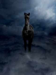珀加索斯黑色的骏马站黑暗风暴云