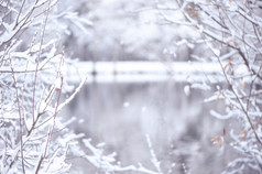 冬天模糊背景与空间为文本装饰图案分支机构的雪和湖的冰美丽的圣诞节背景