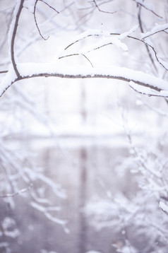 冬天模糊背景与空间为文本装饰图案分支机构的雪和湖的冰美丽的圣诞节背景