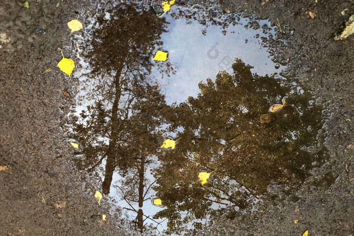 主题秋天和多雨的天气镜子水坑和秋天树叶