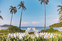 美丽的海滩婚礼聚会地点安排自然的花装饰拱和的过道道路甘蔗花花园前景椰子和树与全景海洋视图与蓝色的天空背景