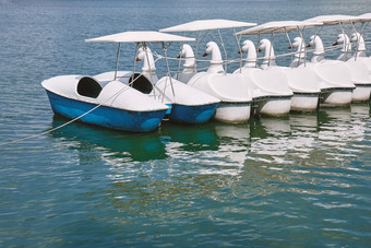 空踏板天鹅船浮动阵容的湖的城市公园
