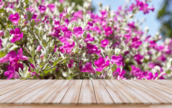 空木表格前与美丽的紫色的花背景设计为蒙太奇产品显示模型视觉布局为促销活动