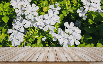 空木表格前与美丽的白色花的角度来看背景设计为蒙太奇产品显示模型视觉布局为促销活动