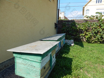 蜂蜜蜂房蜂窝蜂蜜器和蜂蜜产品