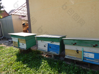 蜂蜜蜂房蜂窝蜂蜜器和蜂蜜产品