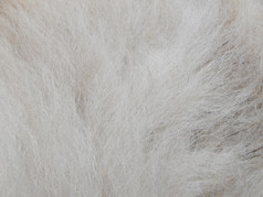 纹理羊毛和动物皮肤