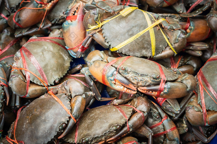 新鲜的锯齿状的泥螃蟹准备出售街食物市场巨大的泥螃蟹锯齿状的泥蟹“锡拉”serrata