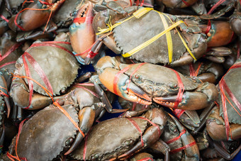 新鲜的锯齿状的泥<strong>螃蟹</strong>准备出售街食物市场巨大的泥<strong>螃蟹</strong>锯齿状的泥蟹“锡拉”serrata
