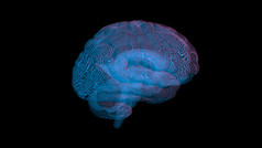 呈现电脑模型人类大脑的概念人工情报和可视化数据的结构的大脑从医疗断层摄影术装置