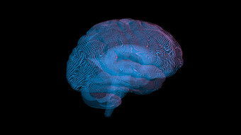 呈现电脑模型人类大脑的概念人工情报和<strong>可视化</strong>数据的结构的大脑从医疗断层摄影术装置