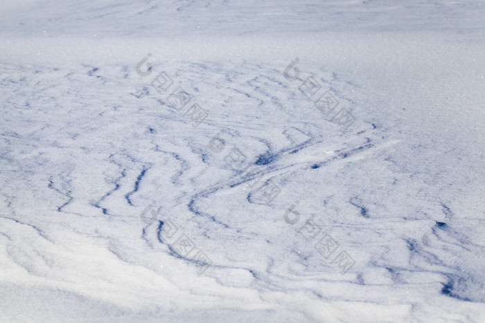 雪地里雪的冬天季节小深度场雪地里雪