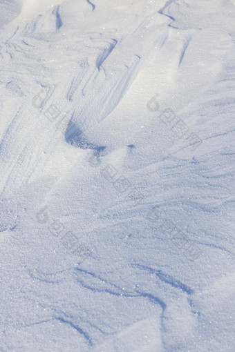 冬天冷淡的早....的地面谎言雪地里后晚上降雪照片采取特写镜头与浅深度场深雪地里