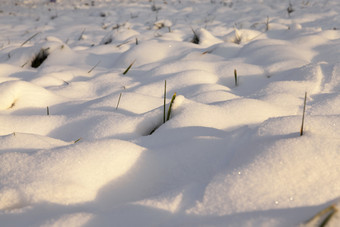 说谎雪后的最后的<strong>降雪</strong>的图片是采取的冬天季节后<strong>降雪</strong>