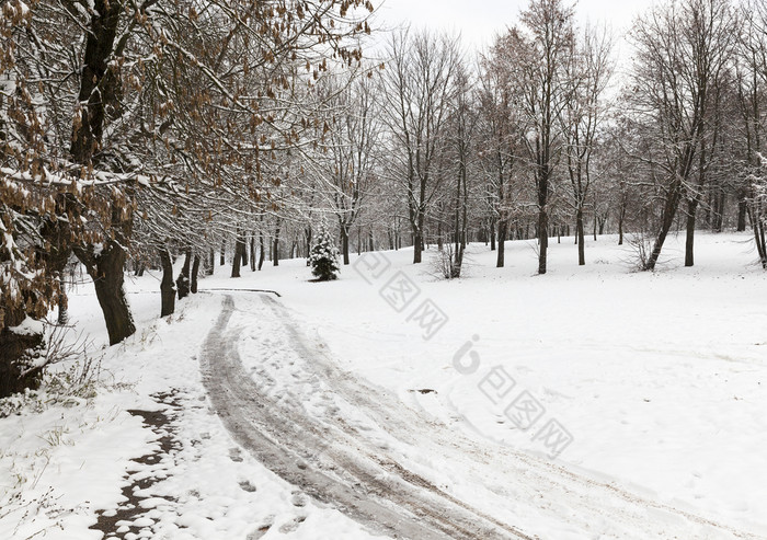跟踪和打印的雪剩下的从通过车小农村路冬天的照片是采取特写镜头从前底位置小森林痕迹的车雪
