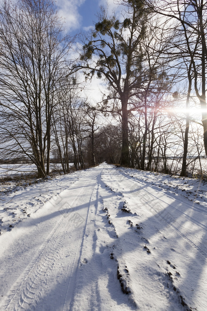 白雪覆盖的路的冬天季节特写镜头照片路下的雪