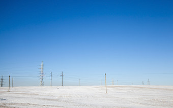 冬天景观的场覆盖与白色雪的场在那里是大数量<strong>电波</strong>兰人与电线雪阳光明媚的雪<strong>电波</strong>兰人