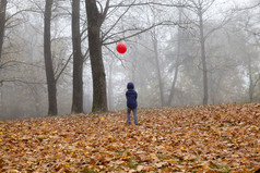 男孩走与红色的气球的秋天悲观的天气的公园与明亮的气球视图从的回来走男孩