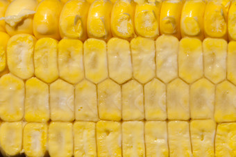 减少谷物的结实的矮成熟的玉米内核那是仍然软和不干场之前收获减少玉米玉米片粮食