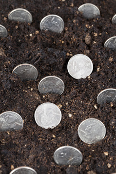 美国钱日益增长的坚持出的肥沃的土壤美国钱