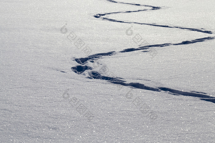 痕迹锯齿形雪地里雪后的最后的人集团人的距离痕迹冬天痕迹锯齿形雪地里