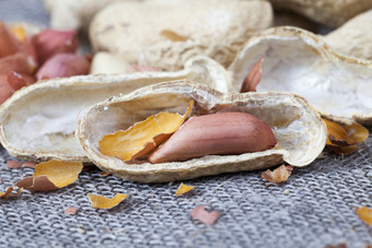 几shell-roasted壳和花生坚果说谎亚麻桌布餐巾是炮击与壳和碎片花生坚果