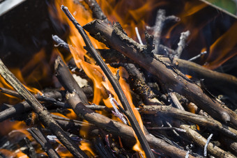 特写镜头的分支机构燃烧的火在的点火的火为烹饪薄分支机构的橙色火焰火分支机构燃烧的火