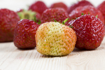 一个不成熟的和成熟的草莓说谎后收获特写镜头本土浆果没有化学添加剂和化学处理绿色和红色的草莓