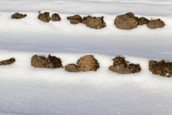 深<strong>雪</strong>飘的冬天季节后降<strong>雪</strong>和暴风<strong>雪</strong>特写<strong>镜</strong>头农业场黑色的土壤棒出通过的<strong>雪雪</strong>漂移和土壤