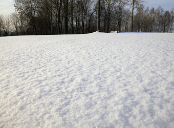 <strong>落叶</strong>树下的雪和雪<strong>飘</strong>的冬天季节景观冷淡的天气景观冷淡的天气