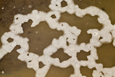 白色泡沫脏水有一些结构和模式特写镜头自然后的雨水坑泥沙子