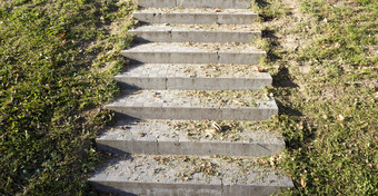 混凝土步骤从的楼梯与树叶的秋天季节秋天阳光明媚的一天的公园混凝土步骤