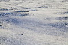 美丽的冬天特写镜头与的路和其他植物下的雪冬天降雪阳光明媚的天气美丽的冬天图片雪堆