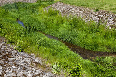 狭窄的流的当前的使为他栅栏石头和混凝土的边缘的流生长绿色草夏天一天狭窄的流