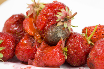 模具痕迹衰变红色的成熟的草莓聚集农业场草莓与模具