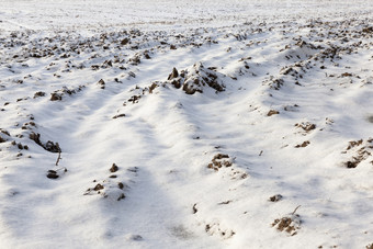 农业场哪一个是耕种在的冬天的地面覆盖与雪后降雪照片特写镜头在多云的天气耕种场下雪