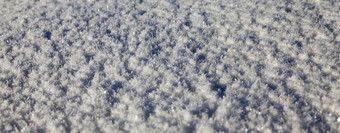 白色雪的冬天季节照片冷淡的早....深雪地里