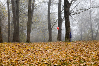 的男孩持有一个红色的气球他的手的颜色飞行通过的公园的秋天季节走与气球填满与氦气体气球男孩一个