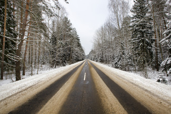 细节的白雪覆盖的路的冬天痕迹汽车和跟踪从运输沿着的巷道生长森林与树细节的白雪覆盖的路森林