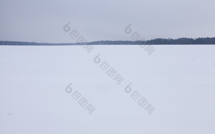 场覆盖与雪的背景你可以看到的森林和的天空的照片使在雪和雪花是可见的天空好吧树白色点小大小的照片冬天景观降雪