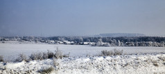 冬天景观与雪覆盖场和混合森林与落叶和松柏科的树后降雪和霜分支机构覆盖与雪和冰冷冷淡的冬天天气冬天景观与雪