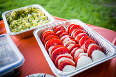 蔬菜菜与西红柿和莫扎雷拉野餐蔬菜菜