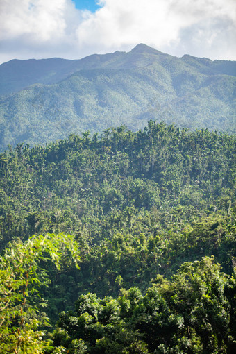 云雀国家森林波多黎各rico风景优美的视图目的地云雀国家森林波多黎各rico风景优美的视图
